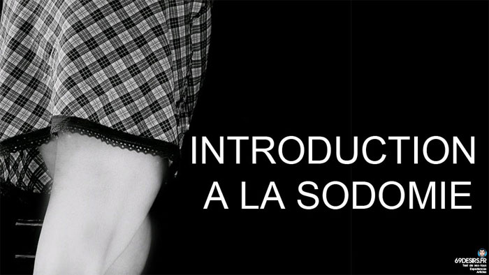 préliminaires de la sodomie - introduction