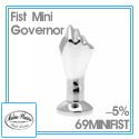fist-mini-governo-reduc