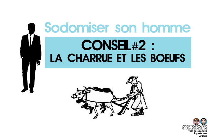 sodomiser son homme : ne pas mettre la charrue avant les boeufs