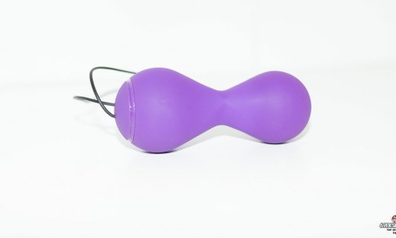 Test des Smart kegel Ball de Magic Motion