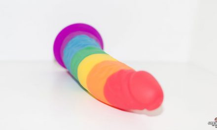 Test Pride Dildo Long Dong : gode à la Gay Pride