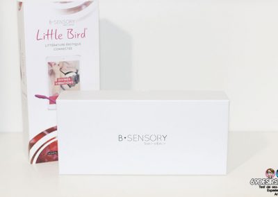 Little Bird - Packaging 4