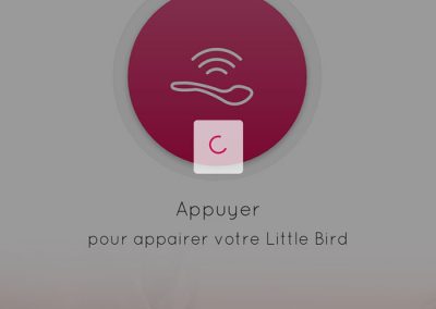 Little Bird - App 3