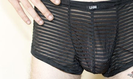 Avis sur le boxer rayé à résille LHM