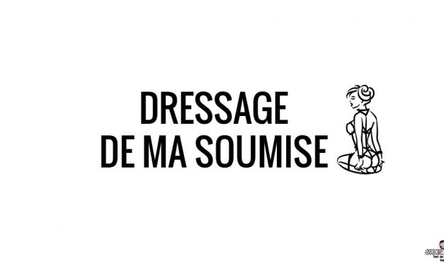 Dressage de ma soumise – Les débuts