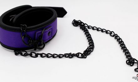 Test du collier et laisse POP