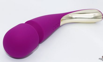 Test de la baguette Smart Wand 2 Large de Lelo