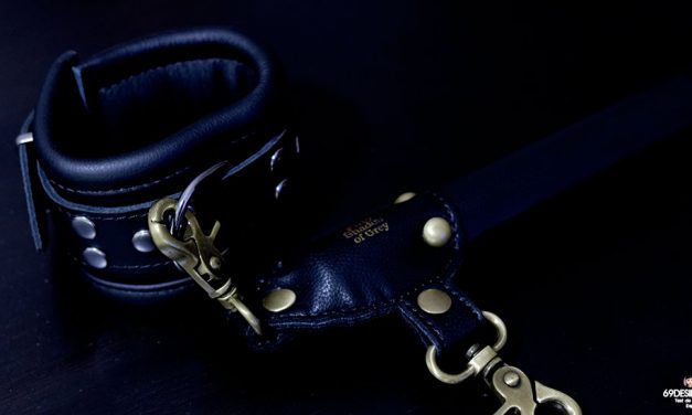 Test de la barre d&rsquo;écartement Fifty Shades of Grey Bound to You
