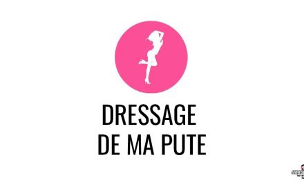 Dressage de ma pute – L’évolution de nos jeux de couple