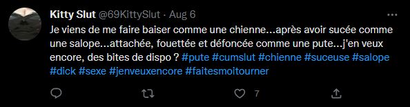 dressage de ma salope - tweet 9