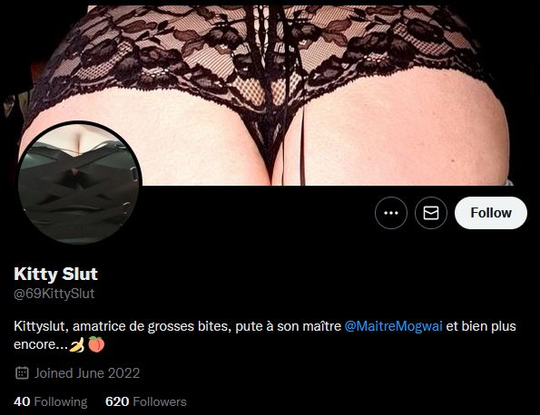 Compte Twitter - 69KittySlut