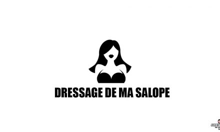 Dressage de ma salope – La suite de nos aventures coquines