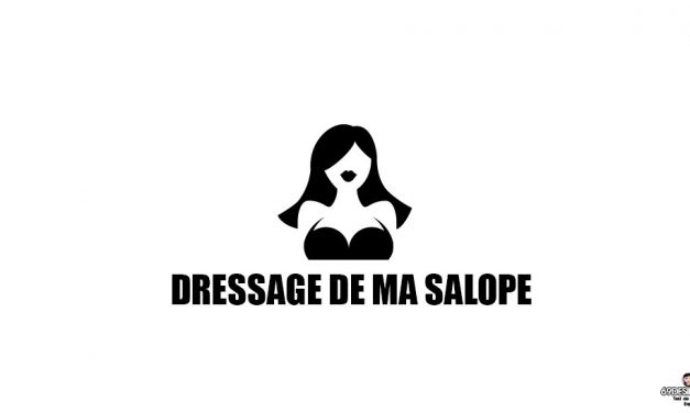 Dressage de ma salope – La suite de nos aventures coquines