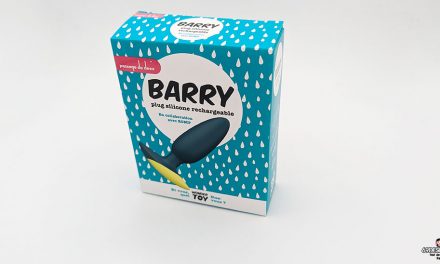 Plug Barry – Test d’un sextoy anal vibrant en édition limitée avec ROMP